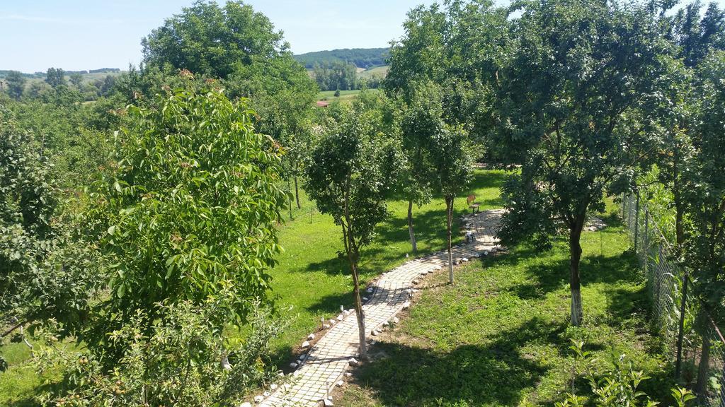 Hotel Casa Agnes Vendeghaz Fantanele  Zewnętrze zdjęcie