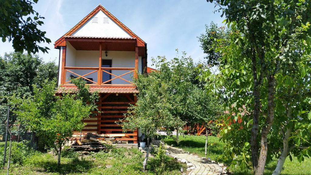 Hotel Casa Agnes Vendeghaz Fantanele  Zewnętrze zdjęcie