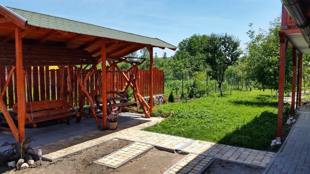 Hotel Casa Agnes Vendeghaz Fantanele  Zewnętrze zdjęcie