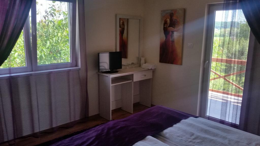 Hotel Casa Agnes Vendeghaz Fantanele  Pokój zdjęcie